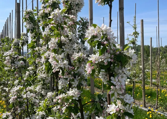 Πανσιόν Norsjotunet Akkerhaugen