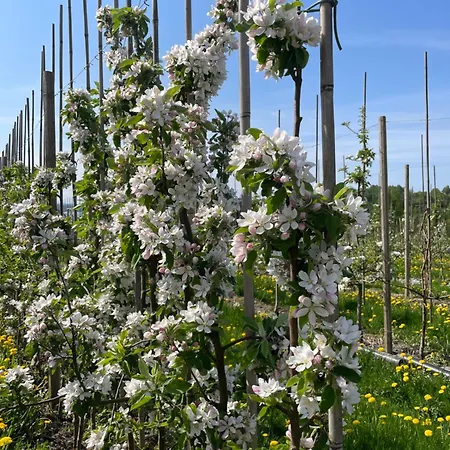 招待所 Norsjotunet Akkerhaugen